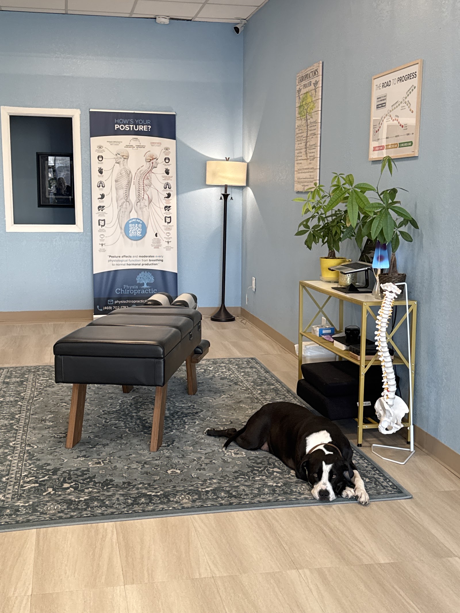 Physis Chiropractic photo 3