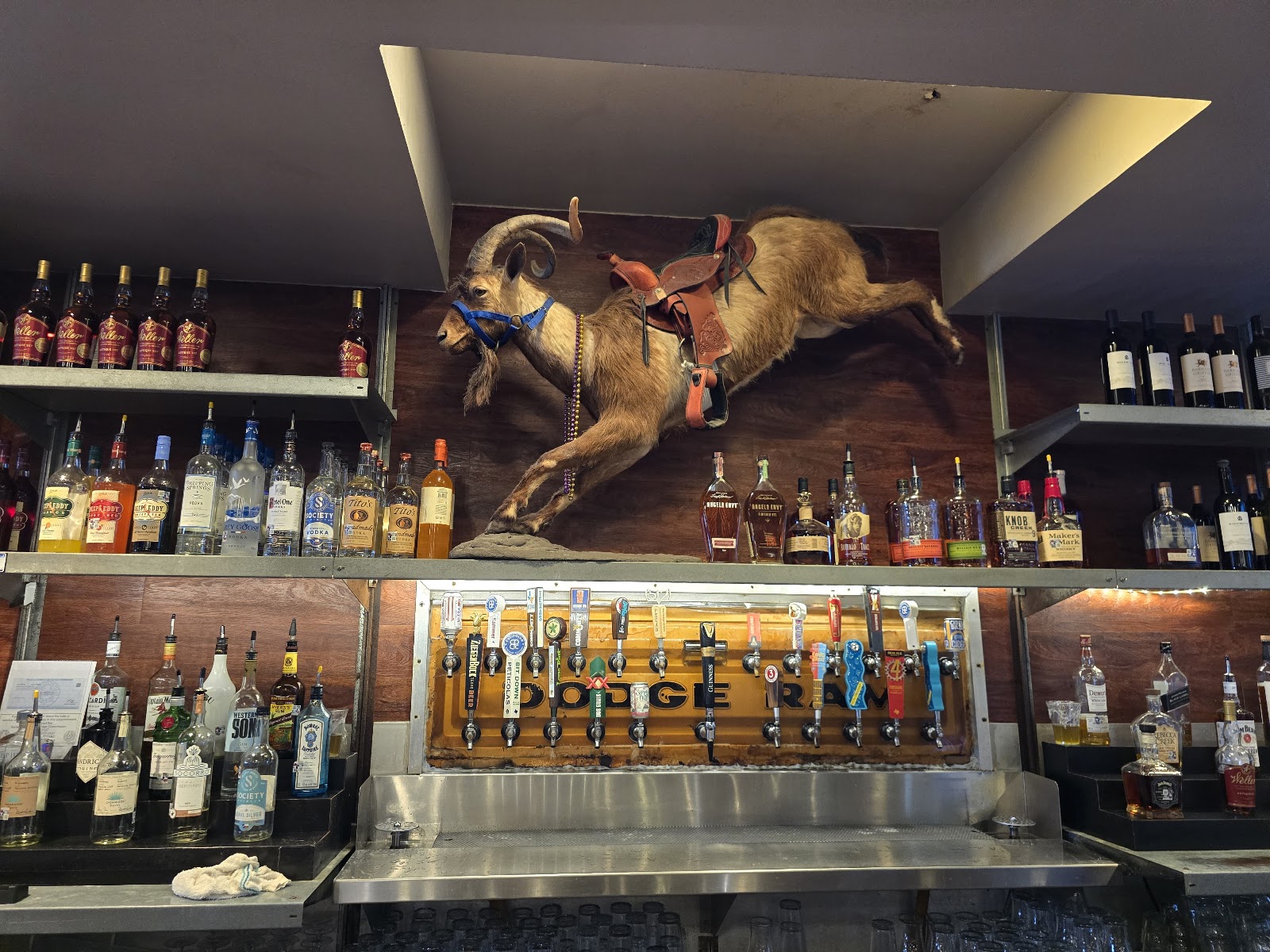 Rodeo Goat photo 2