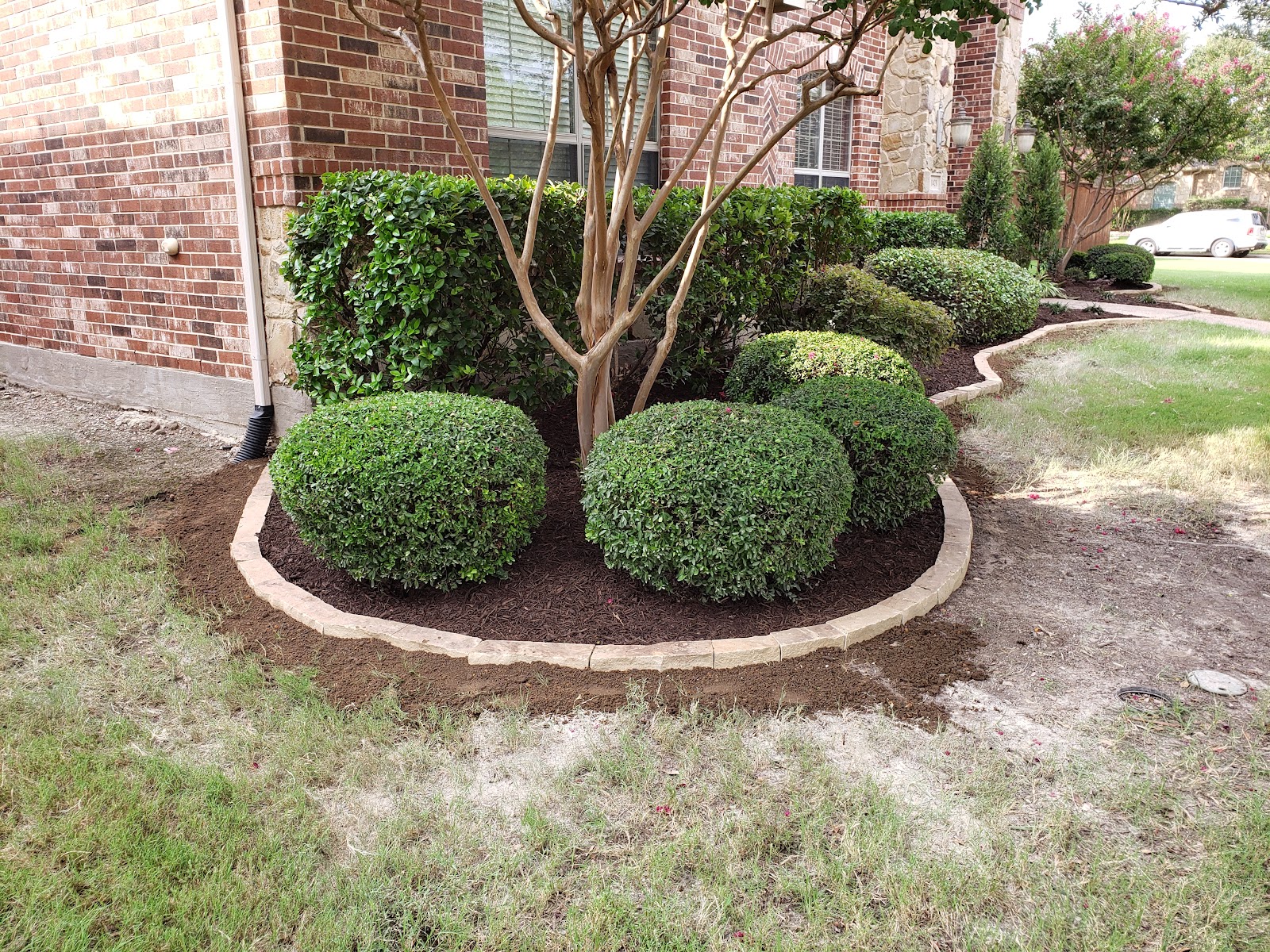 Chorbie Lawn and Pest photo 3