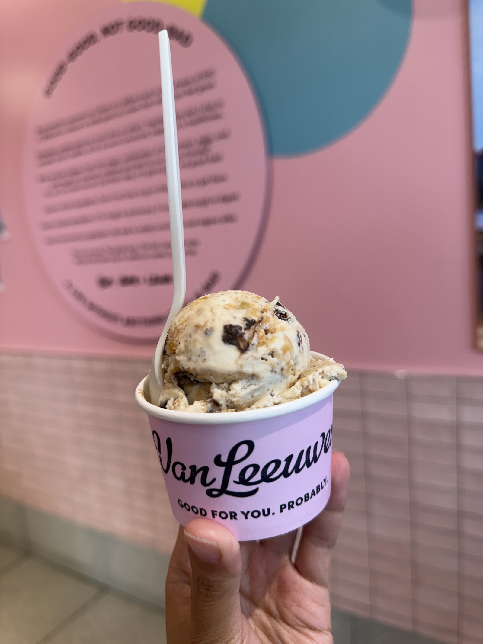 Van Leeuwen Ice Cream photo 3