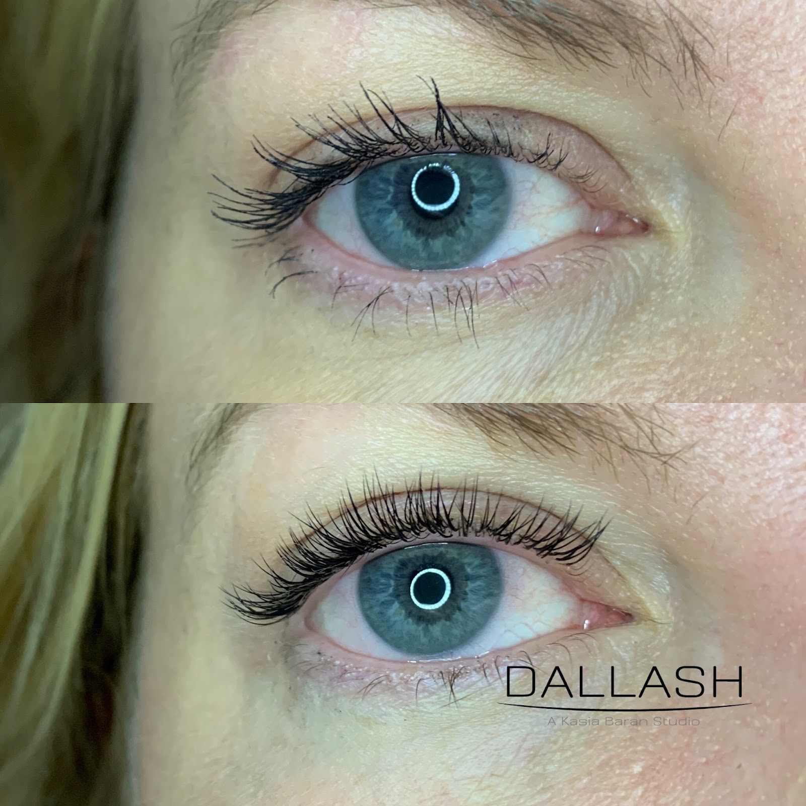 DALLASH photo 2