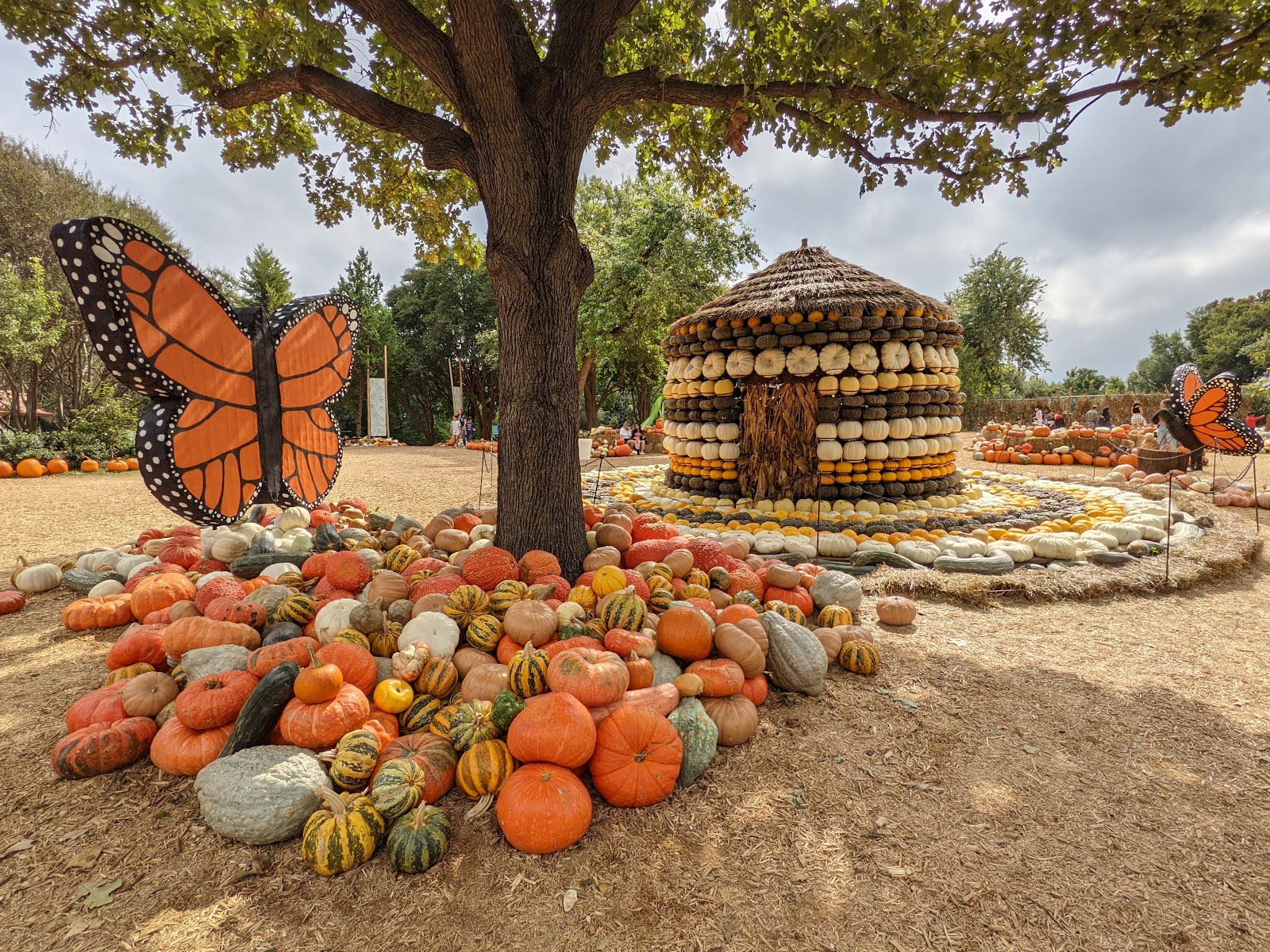 The Dallas Arboretum and Botanical Garden photo 2