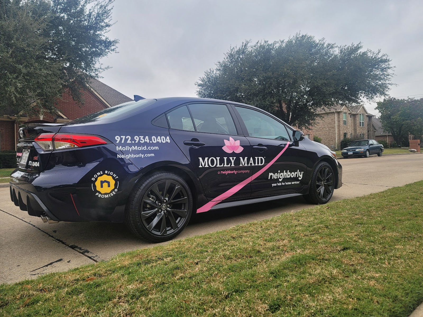 Molly Maid of Northwest Dallas County photo 2