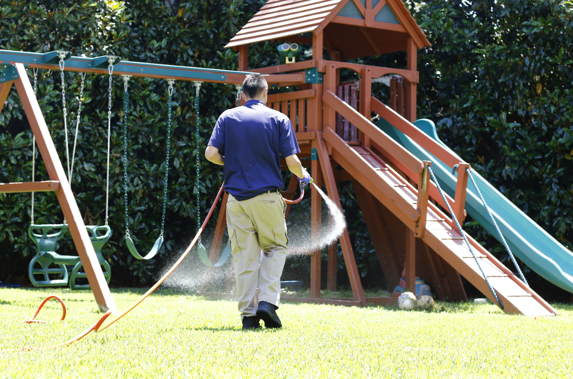 Eco-Safe Pest Control photo 2