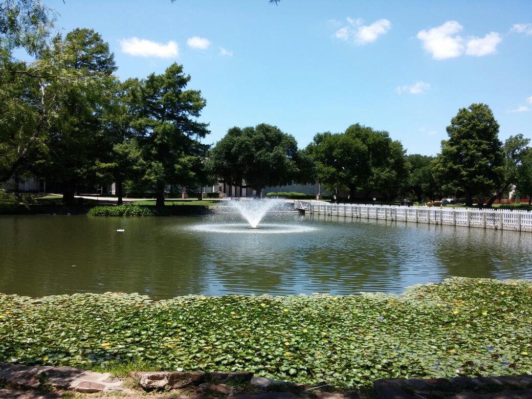Leonhardt Lagoon Nature Walk photo 2