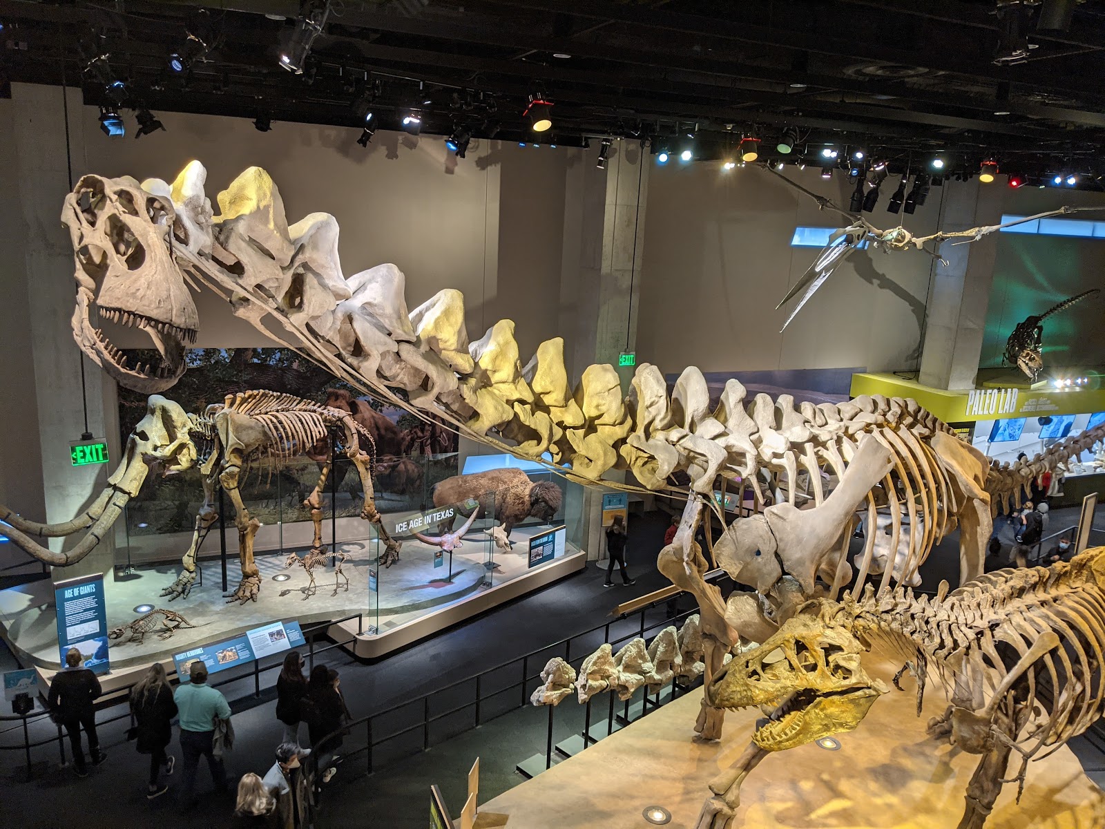Perot Museum of Nature and Science photo 2