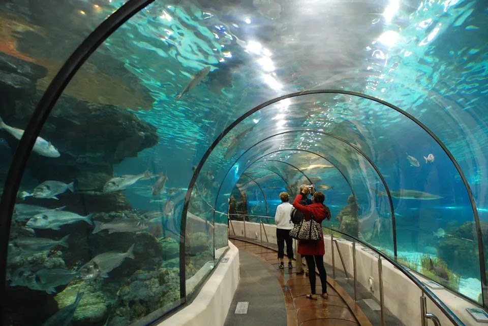 The Dallas World Aquarium photo 2