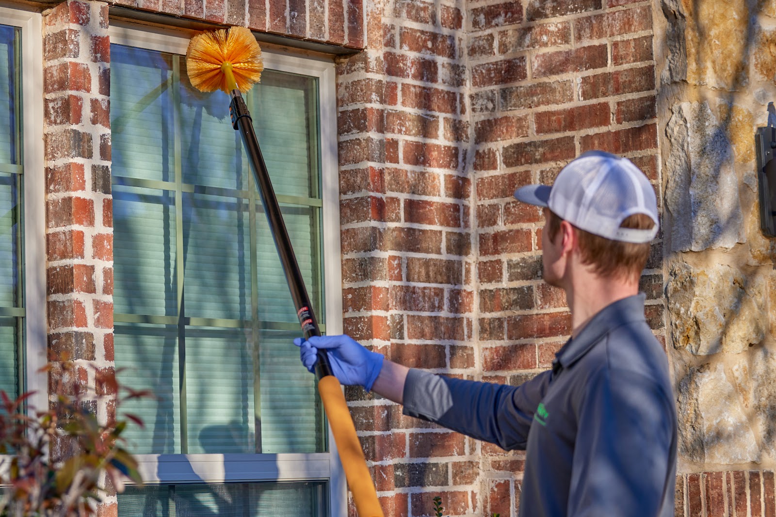 Dynasty Pest Control photo 3