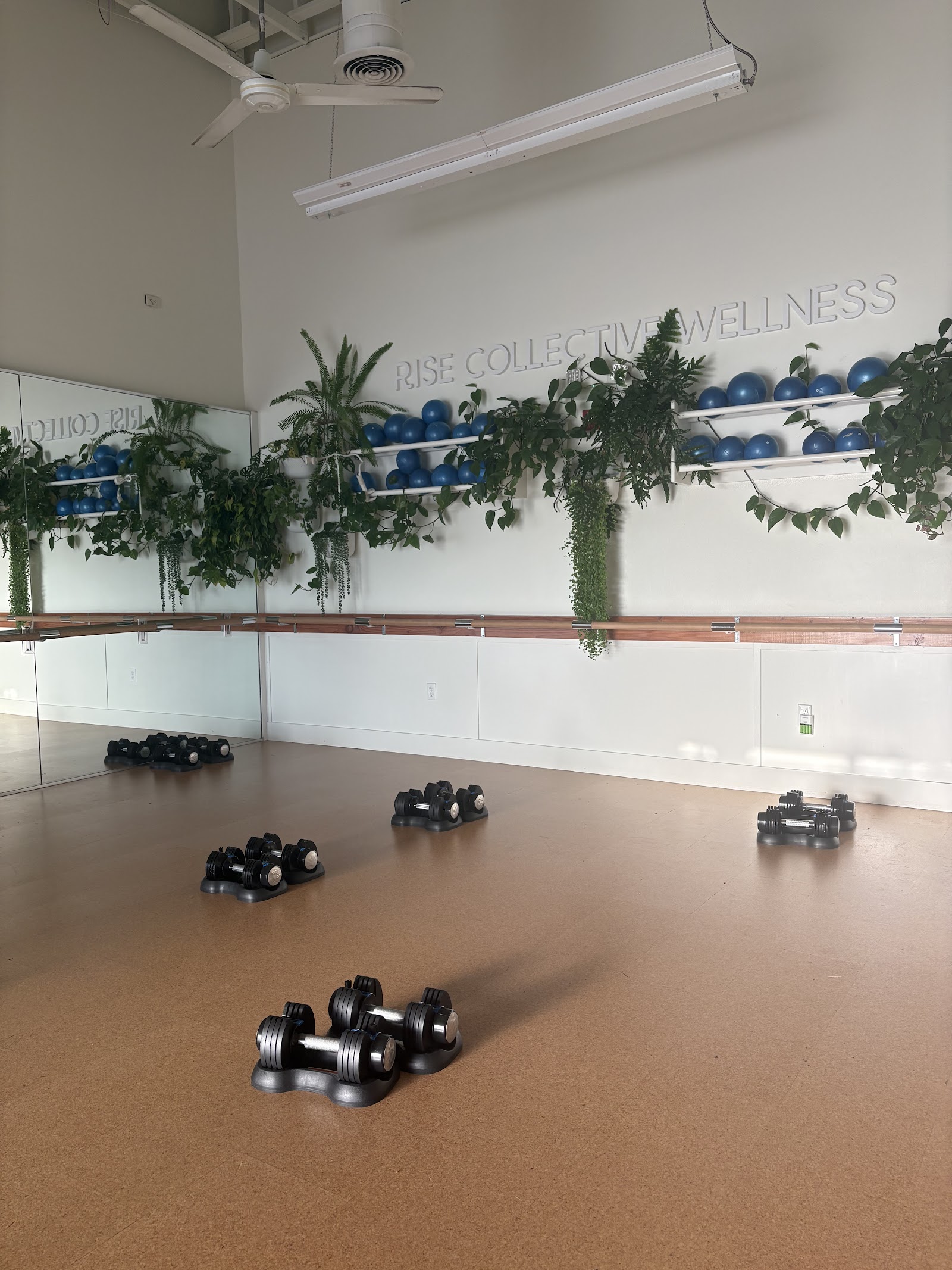 RISE Collective Wellness photo 3