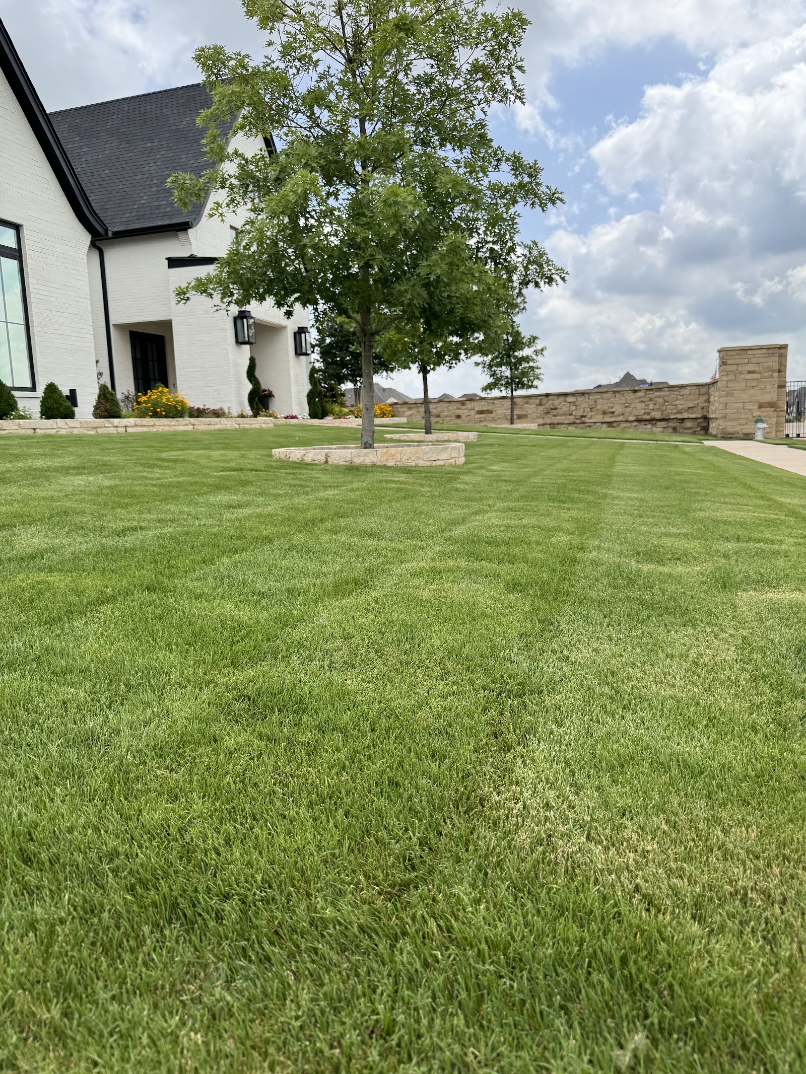 Sureguard Lawn & Pest photo 2